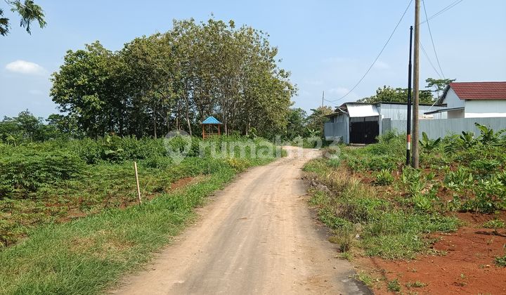 For Sale Vacant Land Suitable for Residential Plots or Houses 2