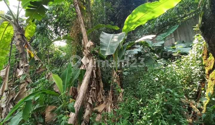 Dijual Tanah Zona Hijau di Daerah Banyubiru Kabupaten Semarang 1