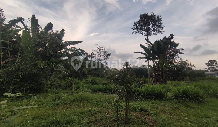 Dijual Tanah Kebun Di Daerah Gunung Pati Semarang 2