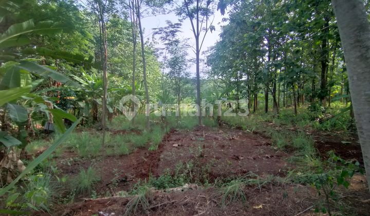 For Sale Vacant Land Suitable for Residential Plots or Houses