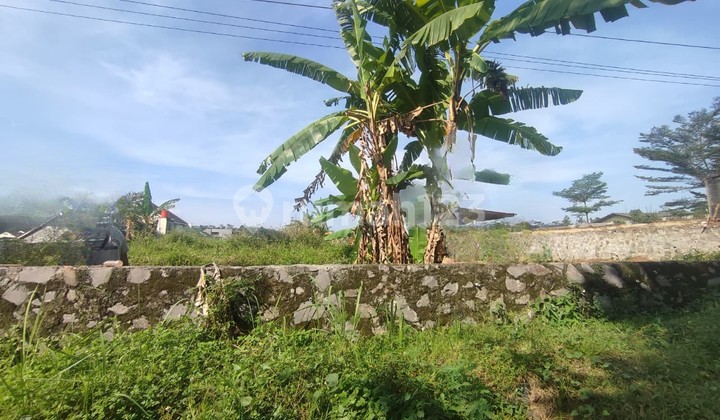 For Sale Green Zone Land in Jalan Raya Patimura Ungaran Area 1