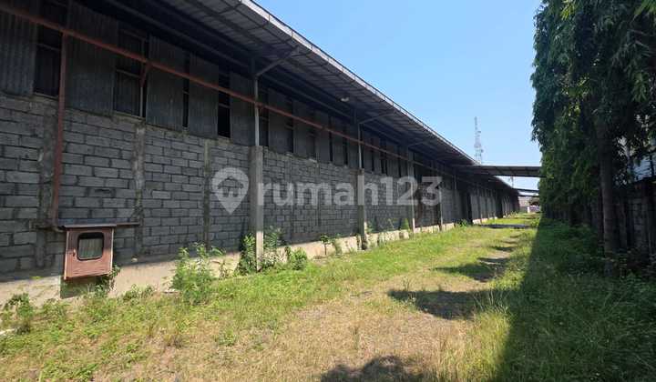 For Rent: 2 + 1 Floor Flood-Free Warehouse in Sayung Area 2