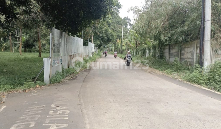 Dijual Tanah Lokasi Menarik Cocok untuk Perkebunan 2