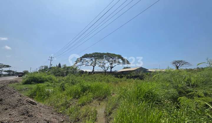 Dijual Tanah Kosong di Kawasan Industrial Semarang 1