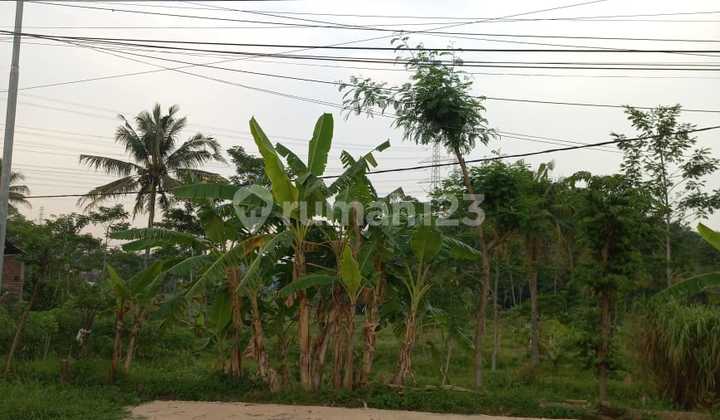 Dijual Tanah Sawah Di Daerah Leyangan Ungaran 2