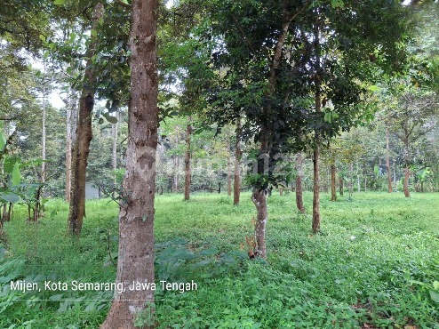 Dijual Tanah Di Daerah Jatibarang - Mijen 1