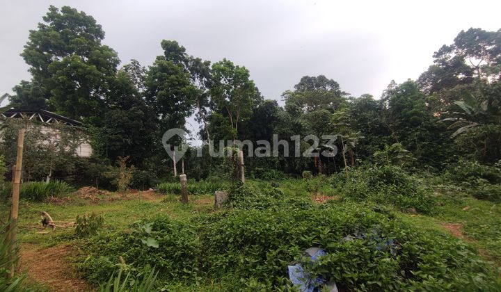 Dijual Tanah Kebun Di Daerah Gunung Pati Semarang 1