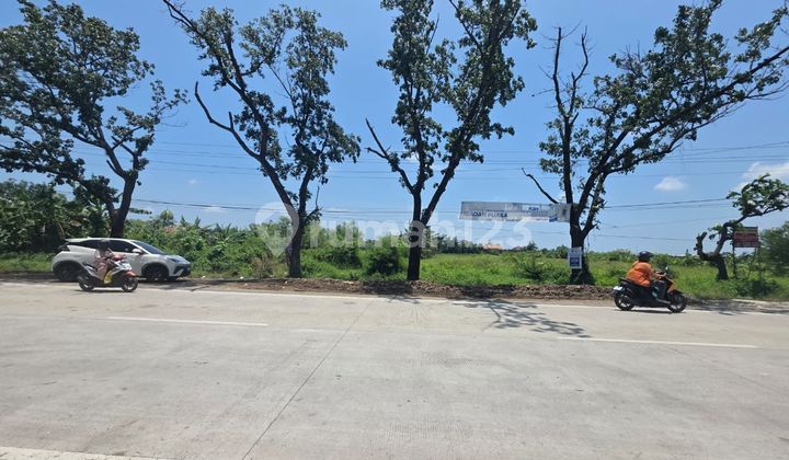 Dijual Tanah Kawasan Industri Cocok untuk Industri 1