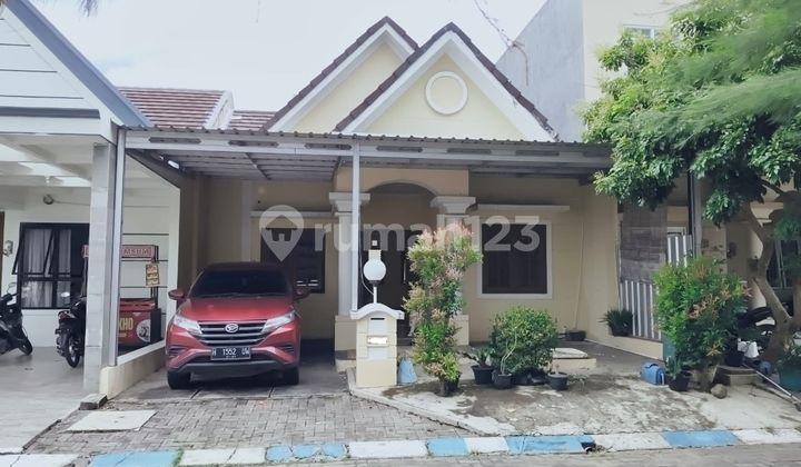Disewakan Rumah Cluster Jasmine Park di Plamongan Indah Semarang 1