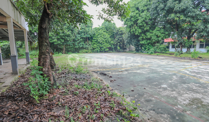 Tanah luas diKalibata Pancoran sangat Strategis Tanah luas diKalibata Pancoran sangat Strategis