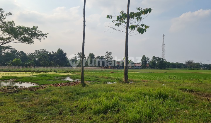 Tanah Kavling cocok untuk perumahan , posisi strategis di sekitar Jaya Sampurna Residence, Asri Pratama, Puri Cijambe, Mutiara Sampurna