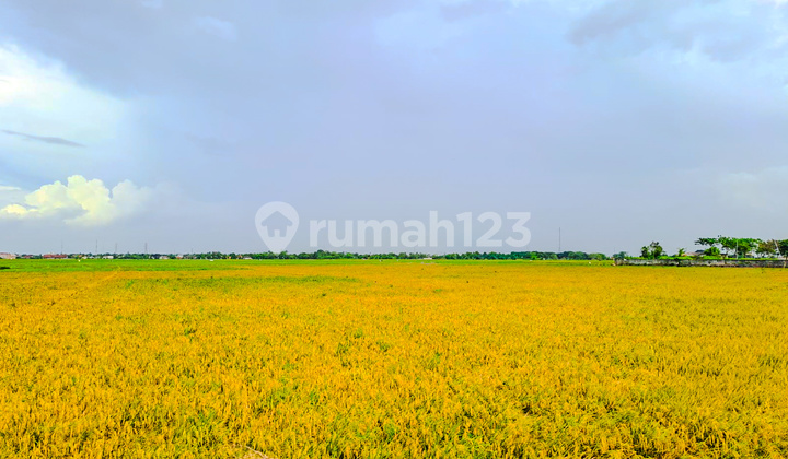 Strategic Land in Serang Banten near Balaraja Hospital, Industrial Area Strategic Land in Serang Banten near Balaraja Hospital, Industrial Area