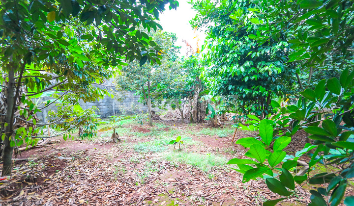 LAND PLOT IN KALIMALANG, NEAR CAWANG, DUREN SAWIT, MAKASAR, PONDOK KELAPA, SUITABLE FOR NEW CLUSTER, GARDEN