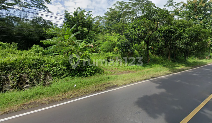 Tanah Luas Pinggir Jalan Nasional Ciamis Tanah Luas Pinggir Jalan Nasional Ciamis