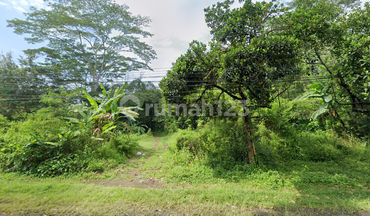Tanah Luas Pinggir Jalan Nasional Ciamis Tanah Luas Pinggir Jalan Nasional Ciamis