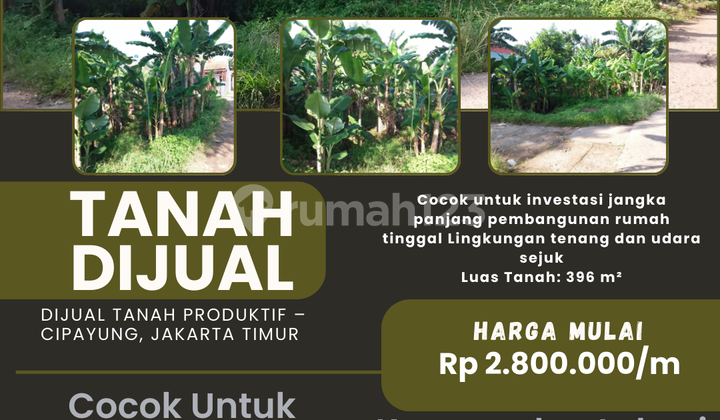 Dijual Tanah Produktif - Cipayung, Jakarta Timur