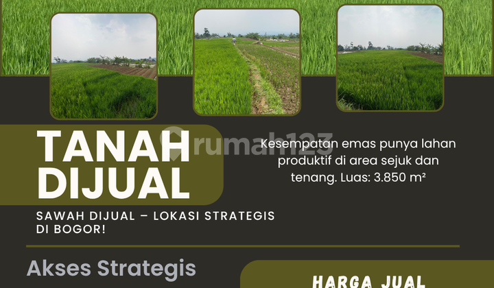SAWAH DIJUAL - LOKASI STRATEGIS DI BOGOR! SAWAH DIJUAL - LOKASI STRATEGIS DI BOGOR!