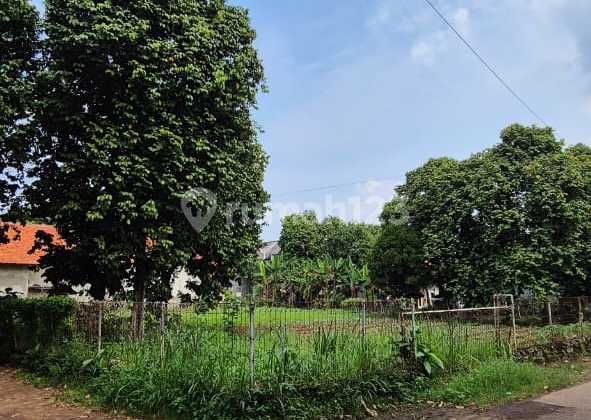 2.1jt Tanah Pedurenan Gn. Sindur 1513m² Investasi Shm 2.1jt Tanah Pedurenan Gn. Sindur 1513m² Investasi Shm