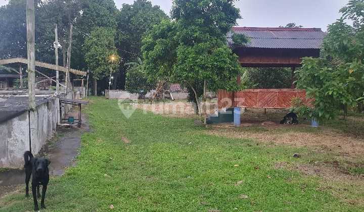 2.2Jt Gunung Sindur Tanah 9.500M² Ada Rumah Tinggal
