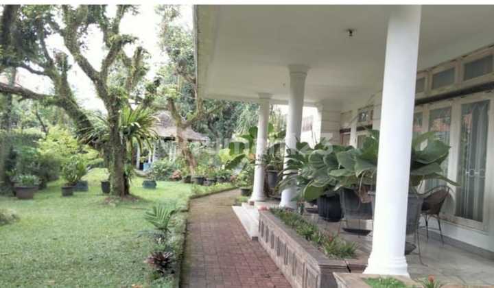 31m Cilandak Rumah Private Pool Renovated Lokasi Strategis 31m Cilandak Rumah Private Pool Renovated Lokasi Strategis