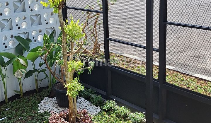 Good Cheap Rental House Fully Furnished Safe One Gate Comfortable Environment