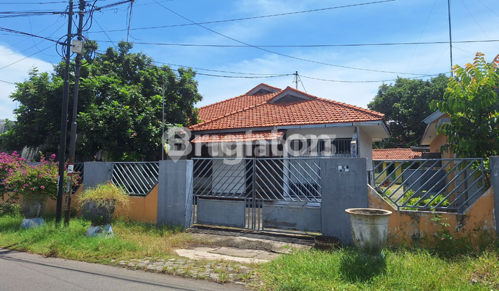 FOR SALE HOUSE PROBOLINGGO 1