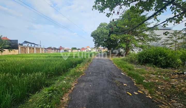 Tanah Jual Lokasi Umalas Tanah Jual Lokasi Umalas