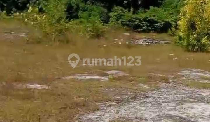 Tanah Jual Lokasi Ungasan Tanah Jual Lokasi Ungasan