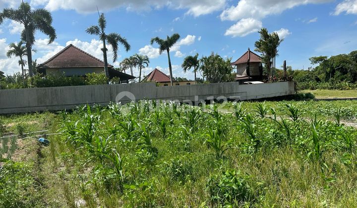 Land for Sale in Nyanyi Location Land for Sale in Nyanyi Location