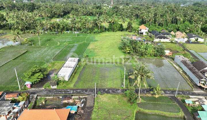 Land for Sale Location Pejeng