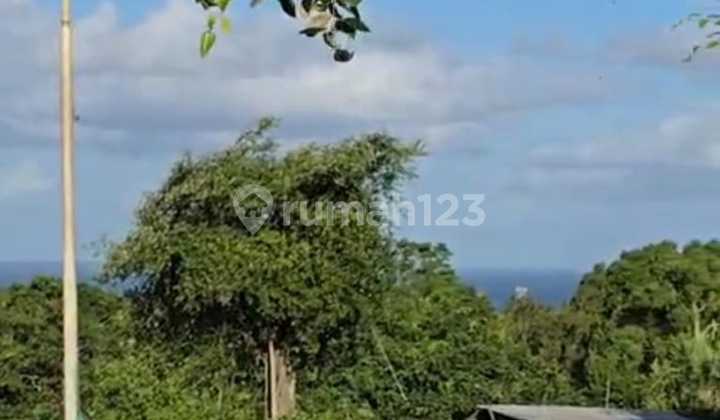 Tanah Jual Lokasi Nusa Dua Tanah Jual Lokasi Nusa Dua