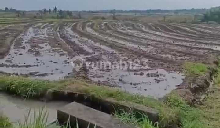 Tanah Jual Lokasi Beraban