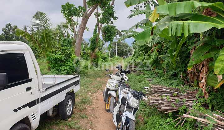 Land for Sale in Buleleng Location