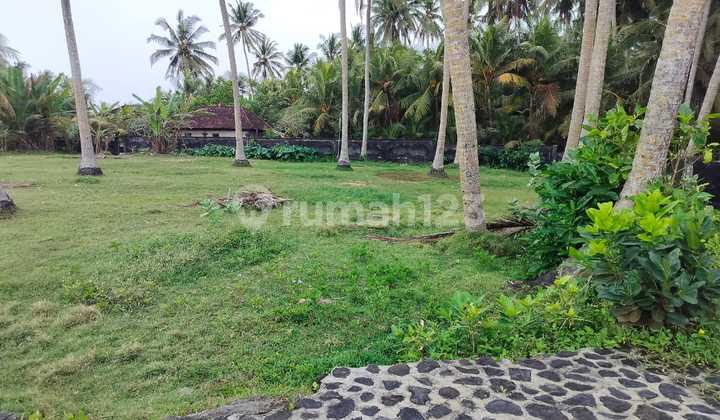 Tanah Jual Lokasi Tibubiu