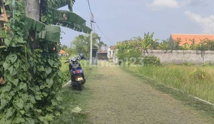 Tanah Jual Lokasi Umalas Tanah Jual Lokasi Umalas