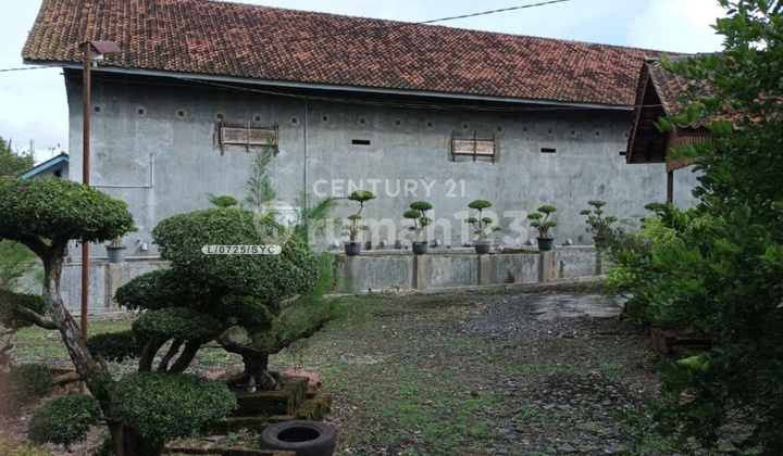 Tanah Luas Dan BangunanSarang Wallet Di Kedung Wuluh Pangandaran Tanah Luas Dan BangunanSarang Wallet Di Kedung Wuluh Pangandaran