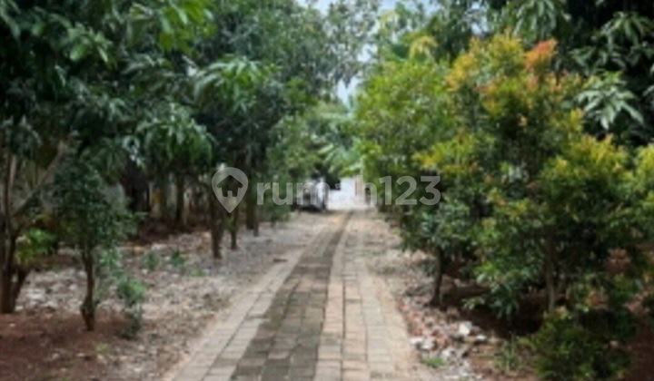 Di Jual Tanah Murah Di Bawah Njop, Dekat Akses Tol, Dekat Fasilitas Mall, Dekat Sekolah Di Yos Sudarso Jakarta Utara