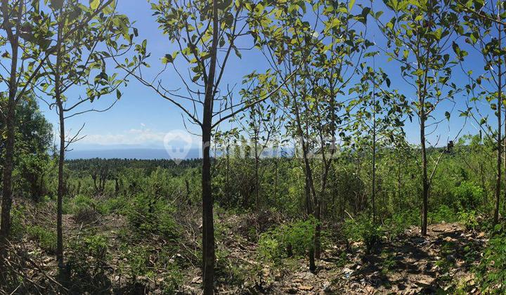 Tanah Murah View Laut Dan Bukit Nusa Penida Klungkung Bali Tanah Murah View Laut Dan Bukit Nusa Penida Klungkung Bali