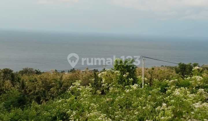 Tanah Murah View Laut Jalan Utama Nusa Penida Klungkung Bali Tanah Murah View Laut Jalan Utama Nusa Penida Klungkung Bali