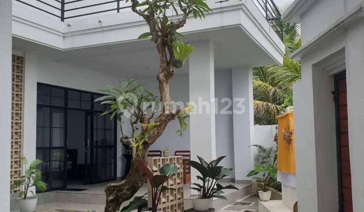 New Villa View of Green Rice Fields in Tampaksiring, Gianyar, Bali