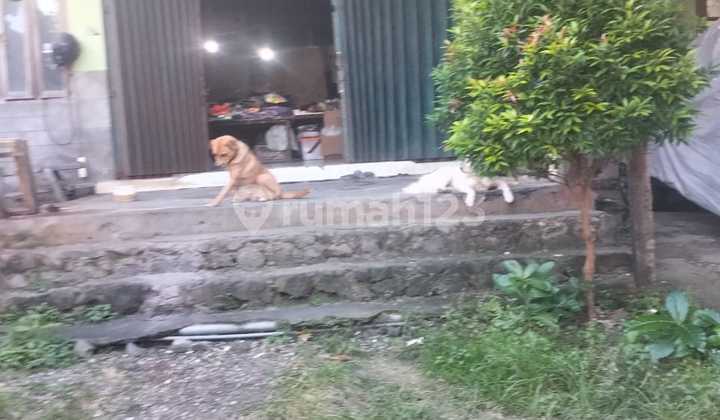 Garment Masih Beroperasi Dalung Permai Kuta Utara Utara Bali