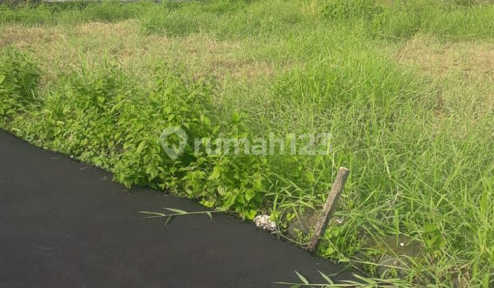 Tanah Datar Siap Bangun Dekat ke Fasum Sekar Jepun Denpasar Timur