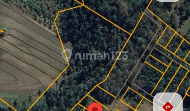 Pink Zone Land, Lalanglinggah Village, Selemadeg, Tabanan, Bali Pink Zone Land, Lalanglinggah Village, Selemadeg, Tabanan, Bali