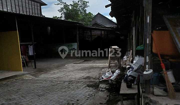 Tanah Premium Kawasan Wisata Strategis Seminyak Kuta Bali Tanah Premium Kawasan Wisata Strategis Seminyak Kuta Bali