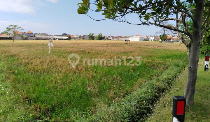 Tanah Murah Langka Jalan Utama Pulau Moyo Pedungan Denpasar Bali