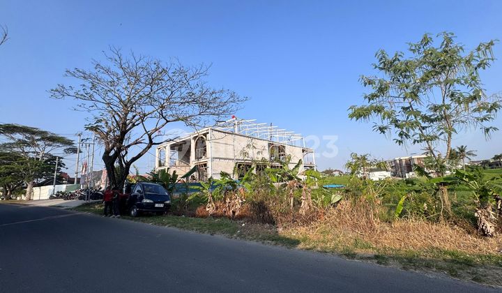 Tanah Datar Pantai Seseh Munggu Bali, Zona Pink