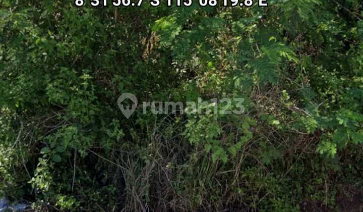 Tanah Kavling Perum Sanggulan Indah Br Anyar Kediri Tabanan Bali Tanah Kavling Perum Sanggulan Indah Br Anyar Kediri Tabanan Bali