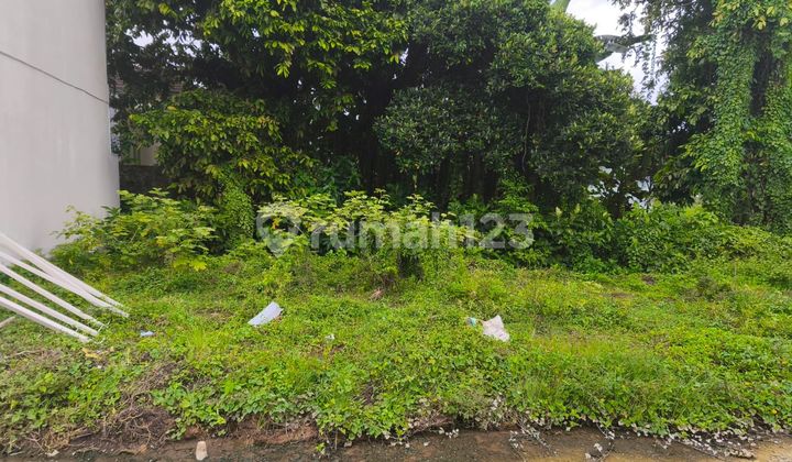 Cheap Land Jl Pantai Kedungu Tabanan Bali, Yellow Zone