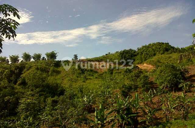 Lahan Luas Bagus Untuk Investasi Tanah di Warung Kiara SHM 1450xxxx m²