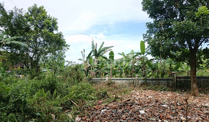 Dijual Rumah Rapih Harga Nego 2